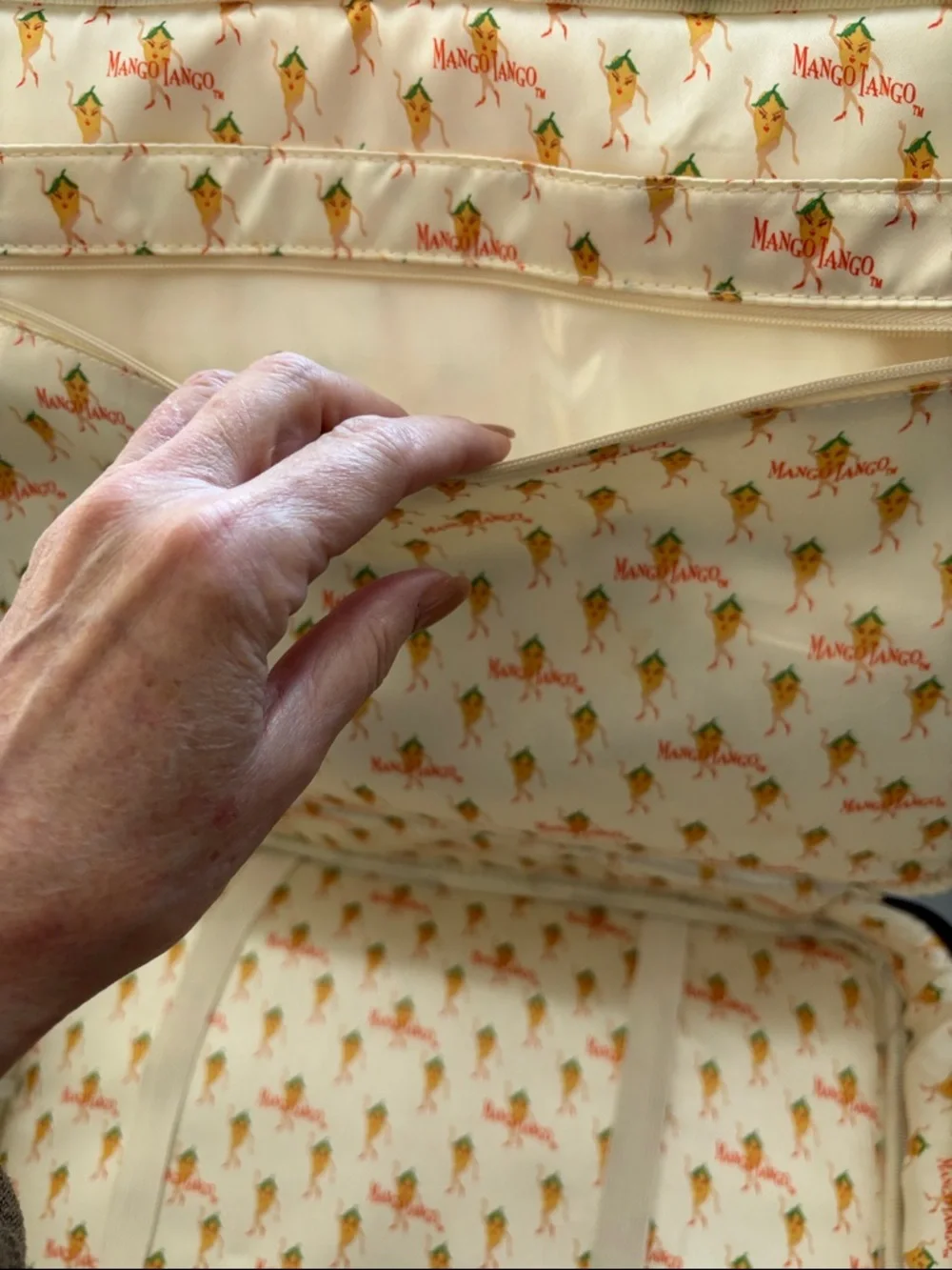 Mango Tango bag/briefcase - Picture 7 of 14